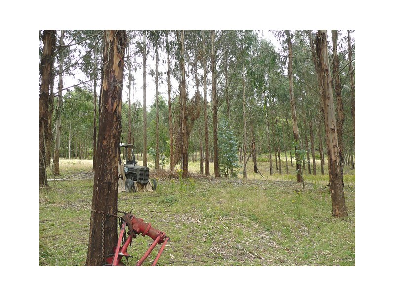 Lot 1 Whites Road, Willung South VIC 3844