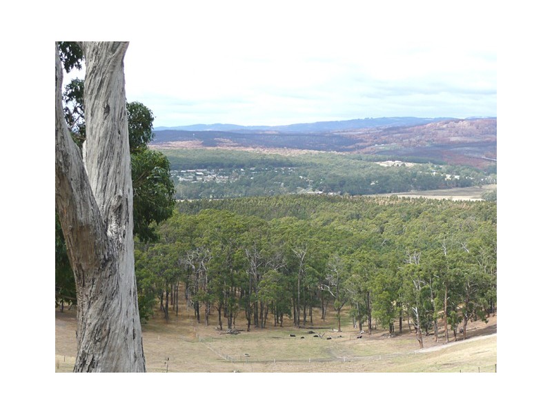 10 Hopkins Court, Hazelwood North VIC 3840