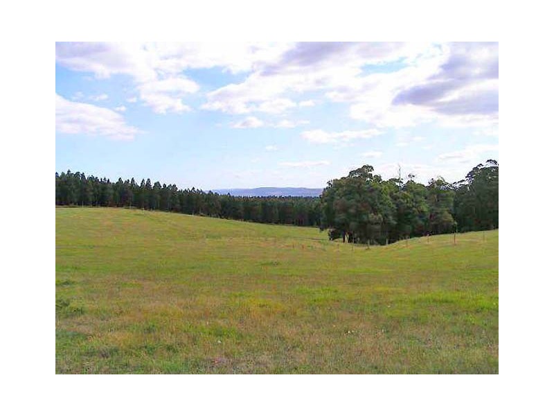 417 Tyers Walhalla Road, Tyers VIC 3844