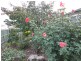 Site 102 Mayfair Gardens, Traralgon VIC 3844