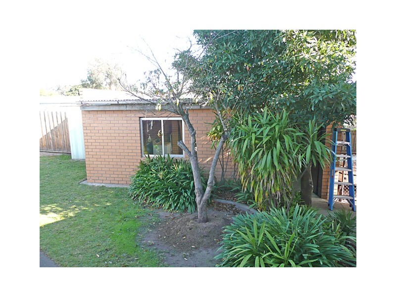 19 MURPHY CRESCENT, Traralgon VIC 3844