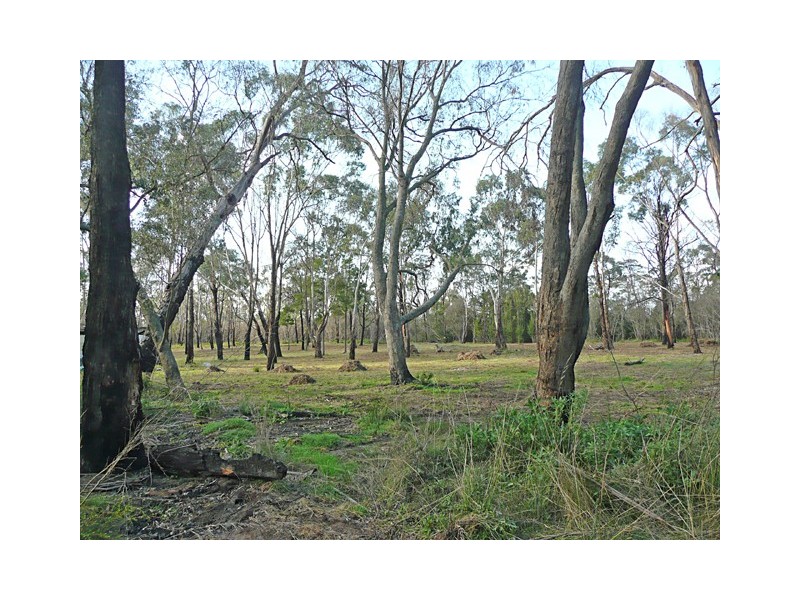 16E WILLUNG SOUTH ROAD, Gormandale VIC 3873