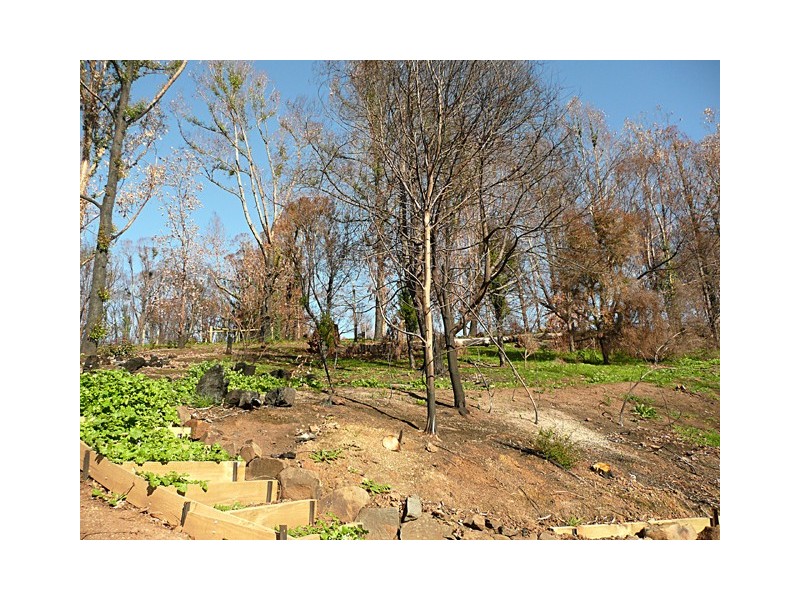 780 CALLINGEE SOUTH ROAD, Callignee VIC 3844