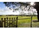26 BELLE VIEW COURT, Rosedale VIC 3847