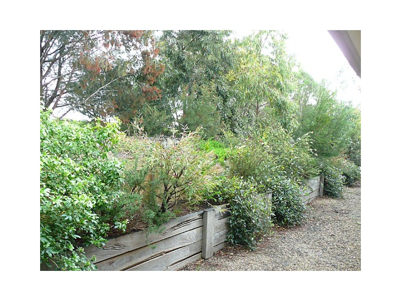 50 COOLOONGATTA DRIVE, Tyers VIC 3844