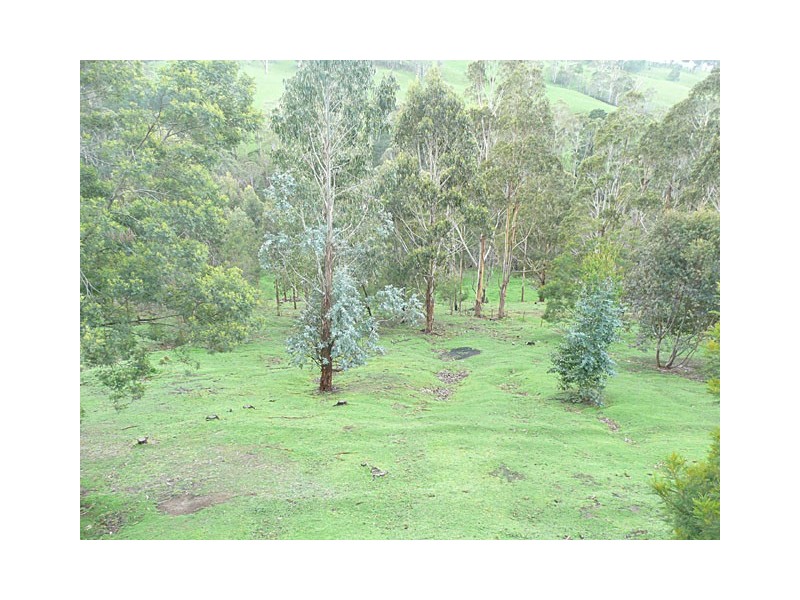 50 COOLOONGATTA DRIVE, Tyers VIC 3844