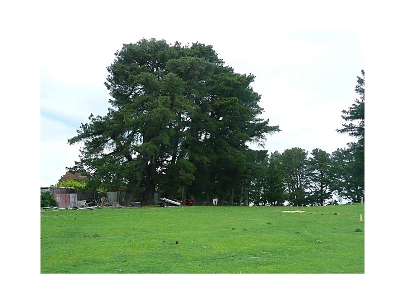 17 TOWNSHIP ROAD, Carrajung VIC 3844