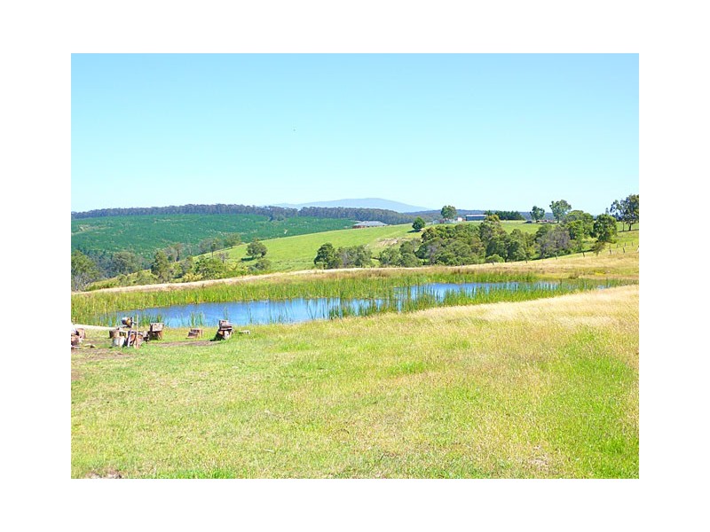 55 COWIES ROAD, Tyers VIC 3844