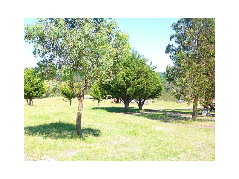 55 COWIES ROAD, Tyers VIC 3844