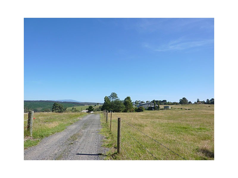 55 COWIES ROAD, Tyers VIC 3844