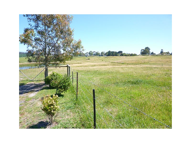 55 COWIES ROAD, Tyers VIC 3844