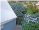 81 Toorak Avenue, Loch Sport VIC 3851