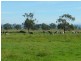 263 LOWER CAIRNBROOK ROAD, Glengarry VIC 3854