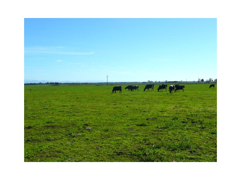 263 LOWER CAIRNBROOK ROAD, Glengarry VIC 3854