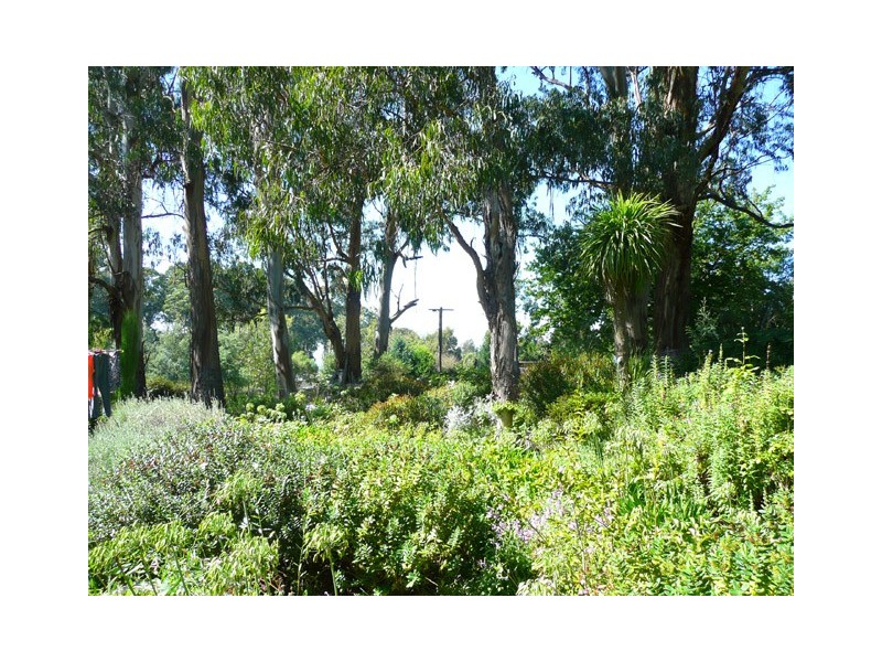 14 O’CONNOR STREET, Carrajung VIC 3844