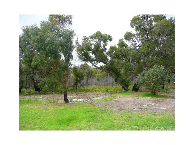 55 WHITELAWS TRACK, Callignee VIC 3844