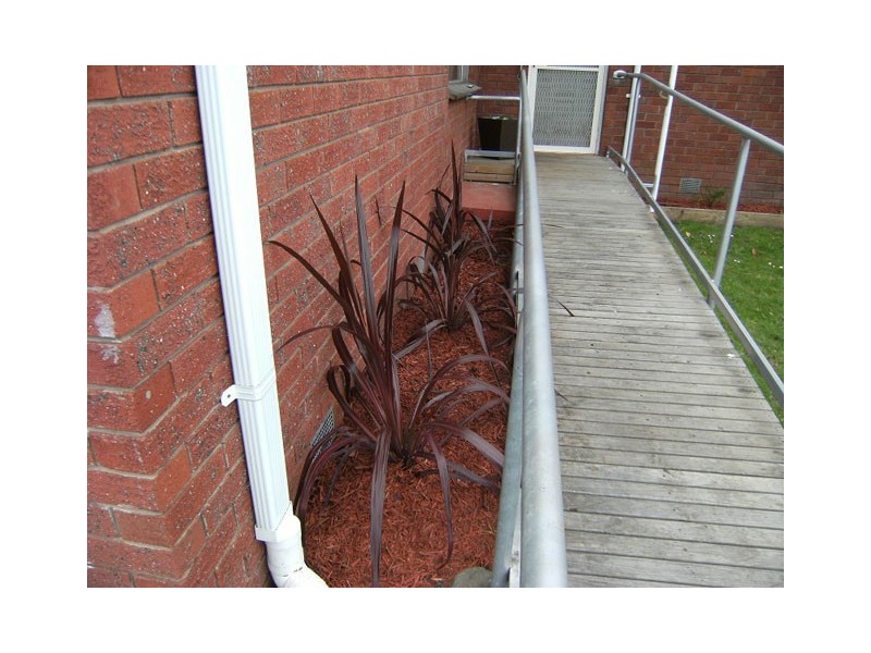 19 BERNARD AVENUE, Traralgon VIC 3844