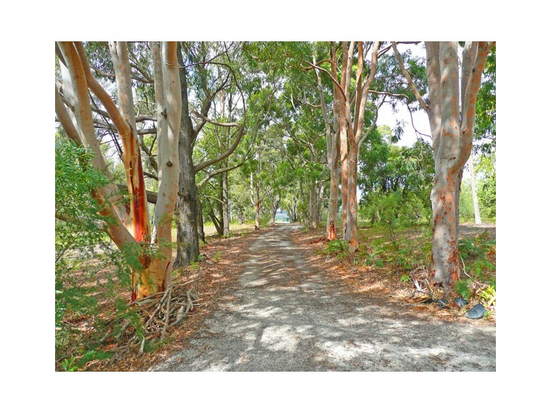 55 WHITELAWS TRACK, Callignee VIC 3844