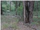 Lot 3 PEEL DRIVE, Yinnar South VIC 3869