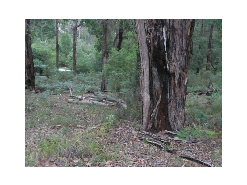 Lot 3 PEEL DRIVE, Yinnar South VIC 3869