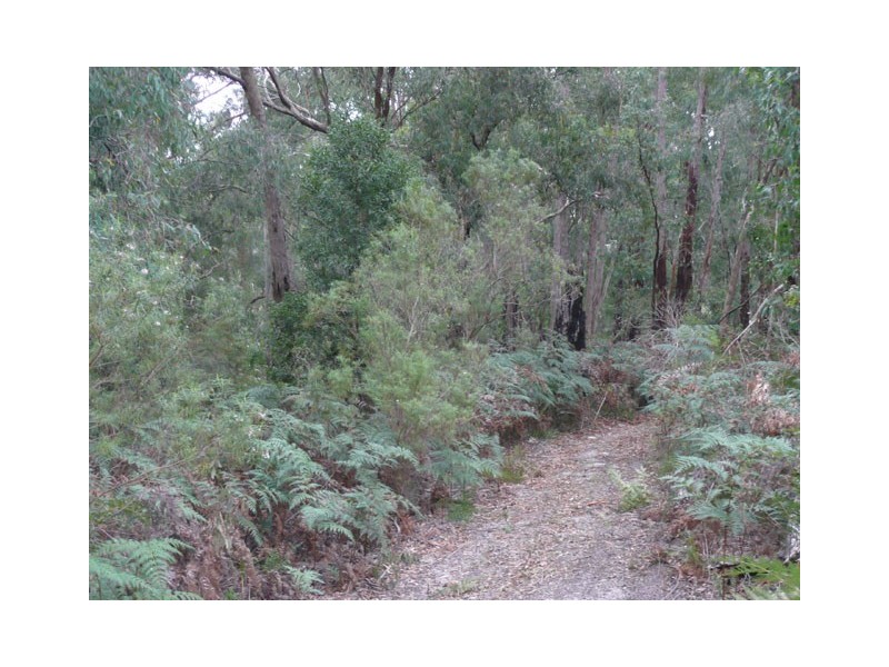 Lot 3 PEEL DRIVE, Yinnar South VIC 3869