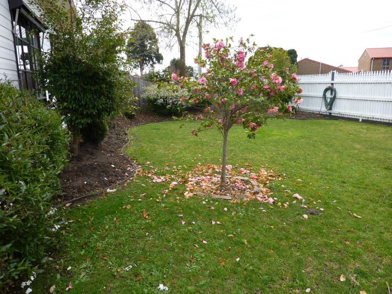 11 Cumberland Street, Traralgon VIC 3844