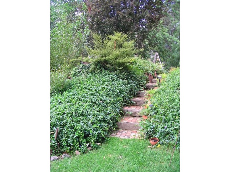 1279 LICOLA ROAD, Glenmaggie VIC 3858