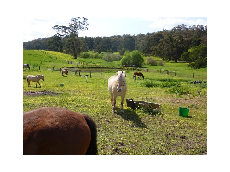 367 Woodside Carrajung Road, Carrajung VIC 3844