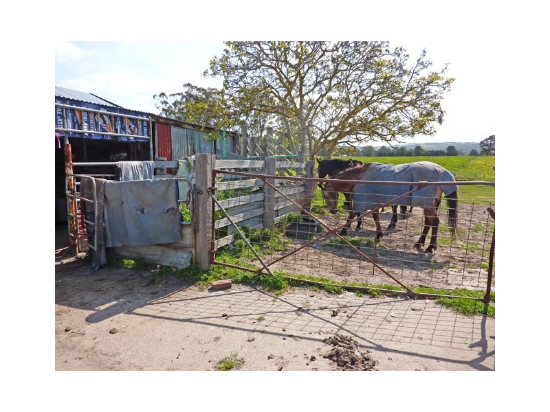 367 Woodside Carrajung Road, Carrajung VIC 3844