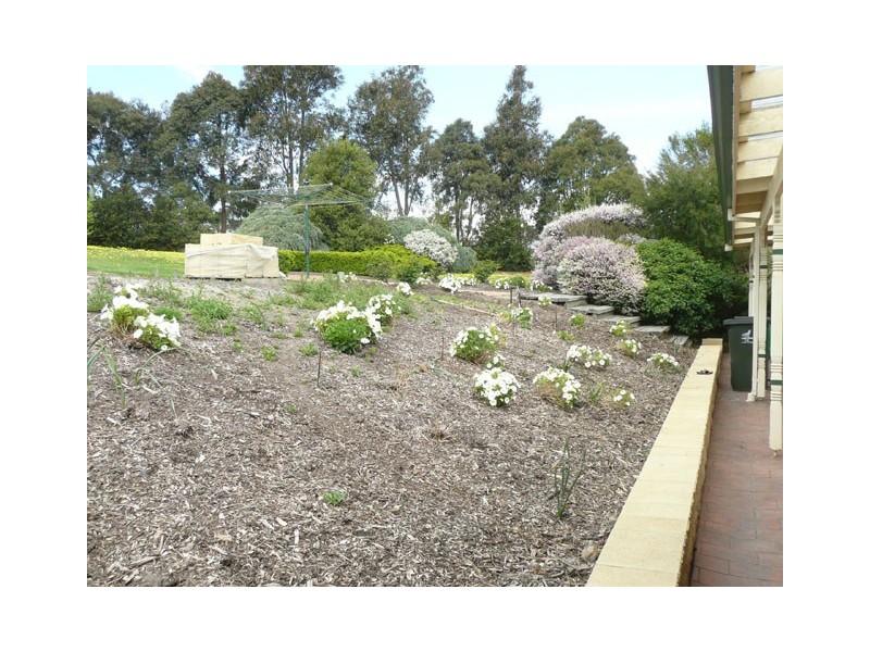 75 WARREN TERRACE, Hazelwood North VIC 3840