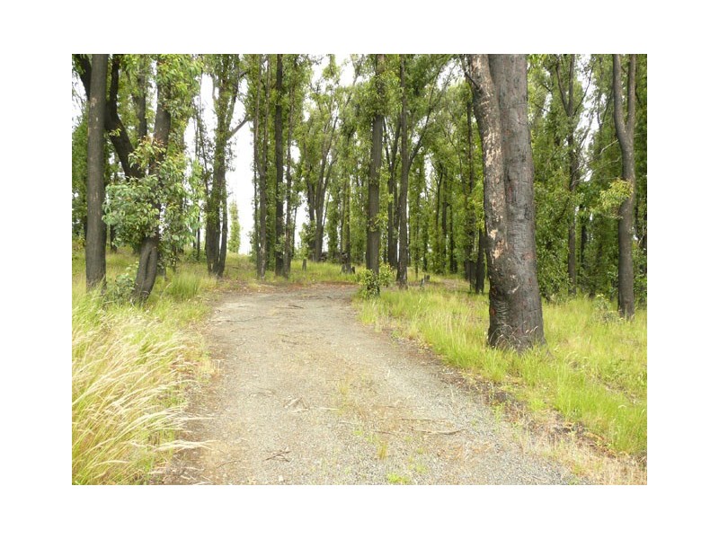 35 Cooks Road, Callignee VIC 3844
