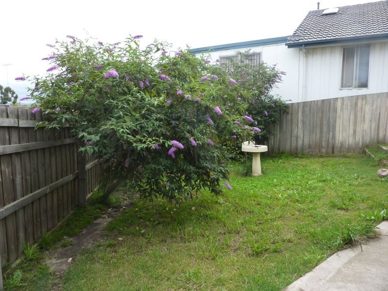 11 Tierney Court, Traralgon VIC 3844
