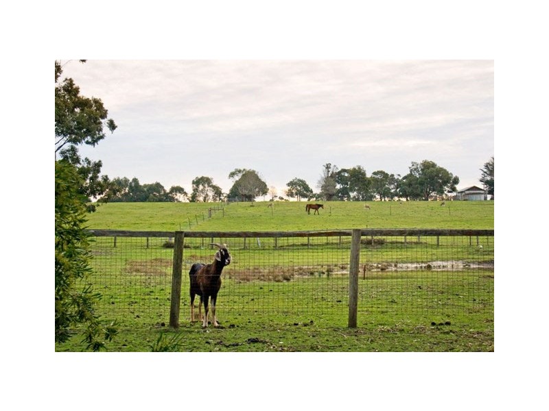 530 Church Road, Hazelwood North VIC 3840