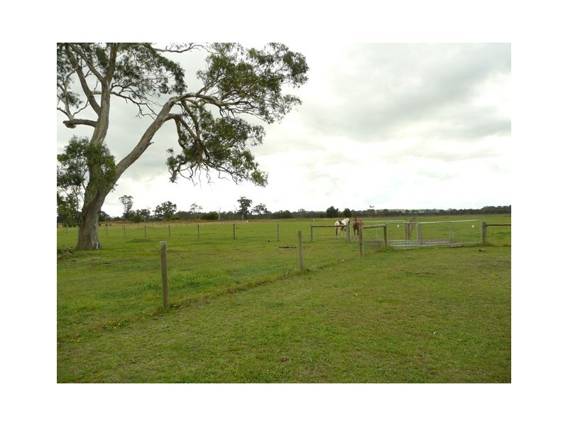 46 Kyle Street, Rosedale VIC 3847