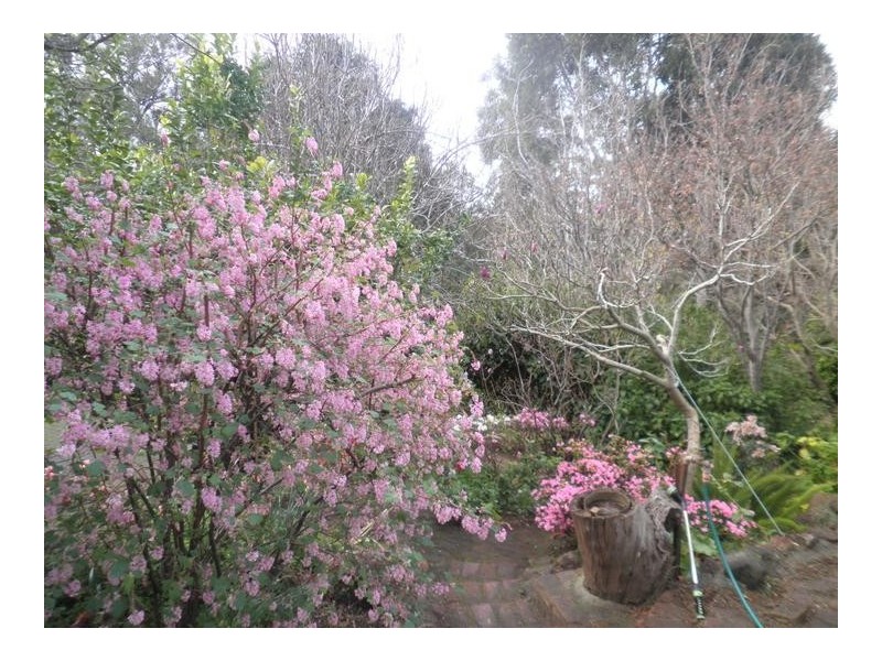 135 Bowdens Road, Won Wron VIC 3971