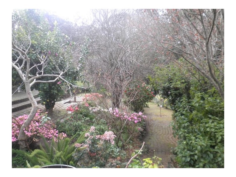 135 Bowdens Road, Won Wron VIC 3971