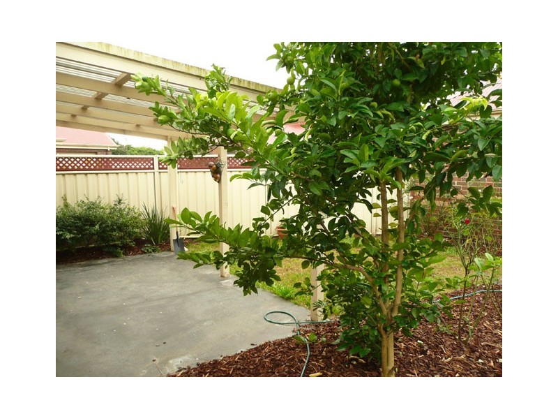 3/272 Franklin Street, Traralgon VIC 3844