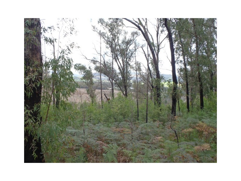 Callignee South Road, Traralgon South VIC 3844