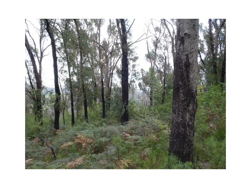 Callignee South Road, Traralgon South VIC 3844