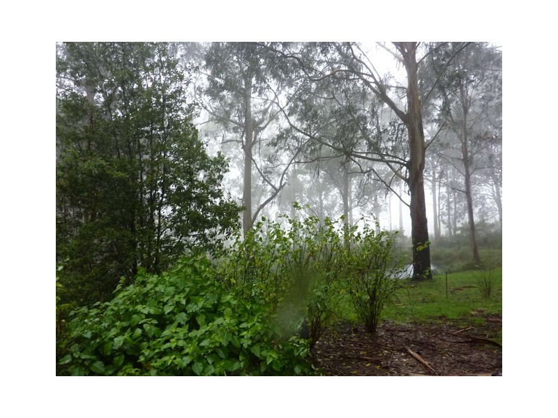 Lot 5, 54 Stitchling Street, Carrajung VIC 3844