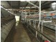 125 Sawyers Lane, Tyers VIC 3844