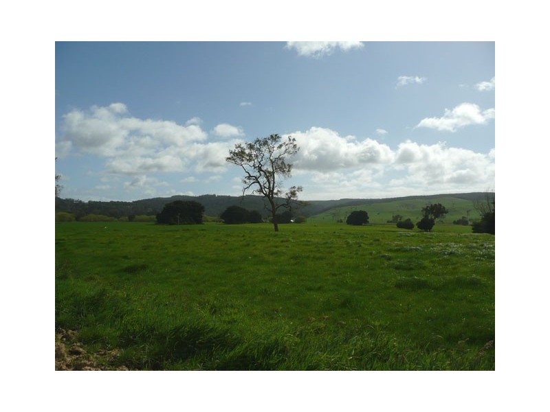 80 Christensens Road, Tyers VIC 3844