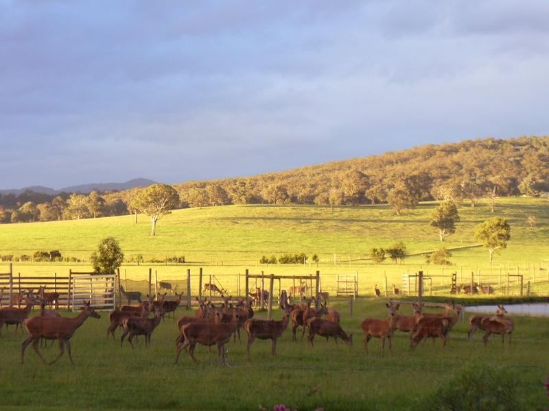 204 Luckmans road, Boisdale VIC 3860