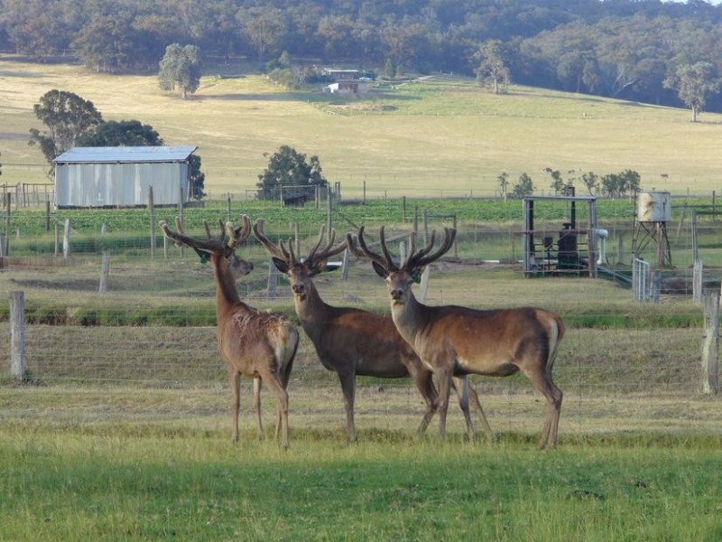 204 Luckmans road, Boisdale VIC 3860