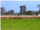 204 Luckmans road, Boisdale VIC 3860