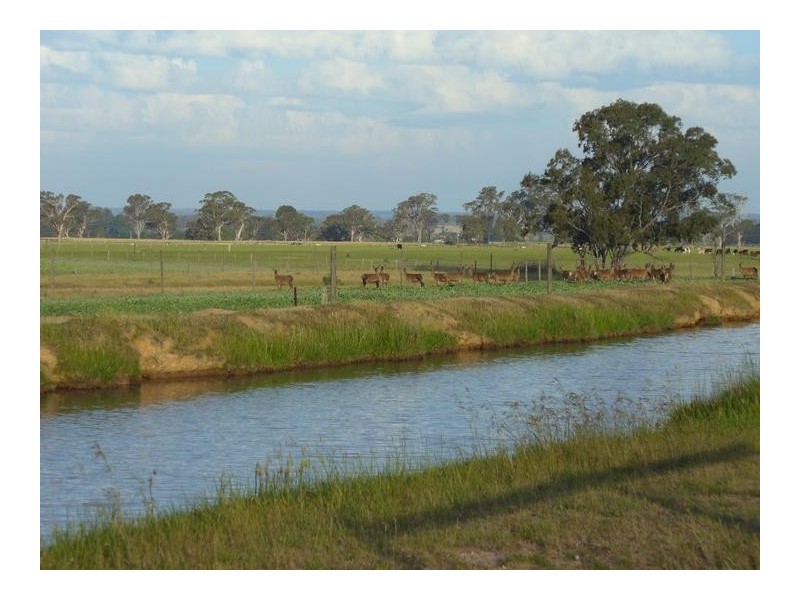 204 Luckmans road, Boisdale VIC 3860