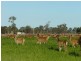 204 Luckmans Road, Boisdale VIC 3860