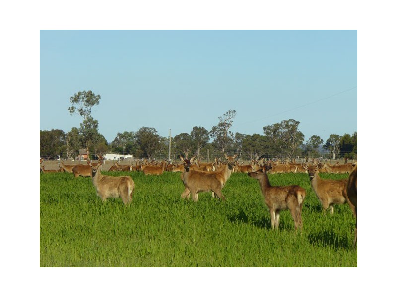 204 Luckmans Road, Boisdale VIC 3860