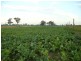 204 Luckmans Road, Boisdale VIC 3860