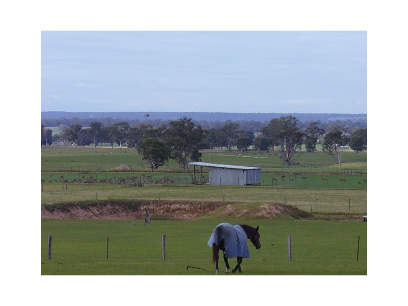 204 Luckmans Road, Boisdale VIC 3860